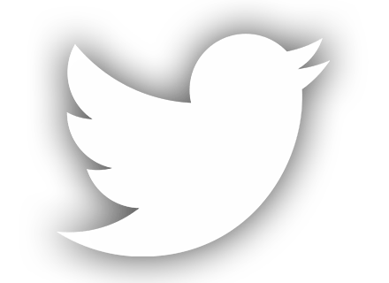 Twitter Logo